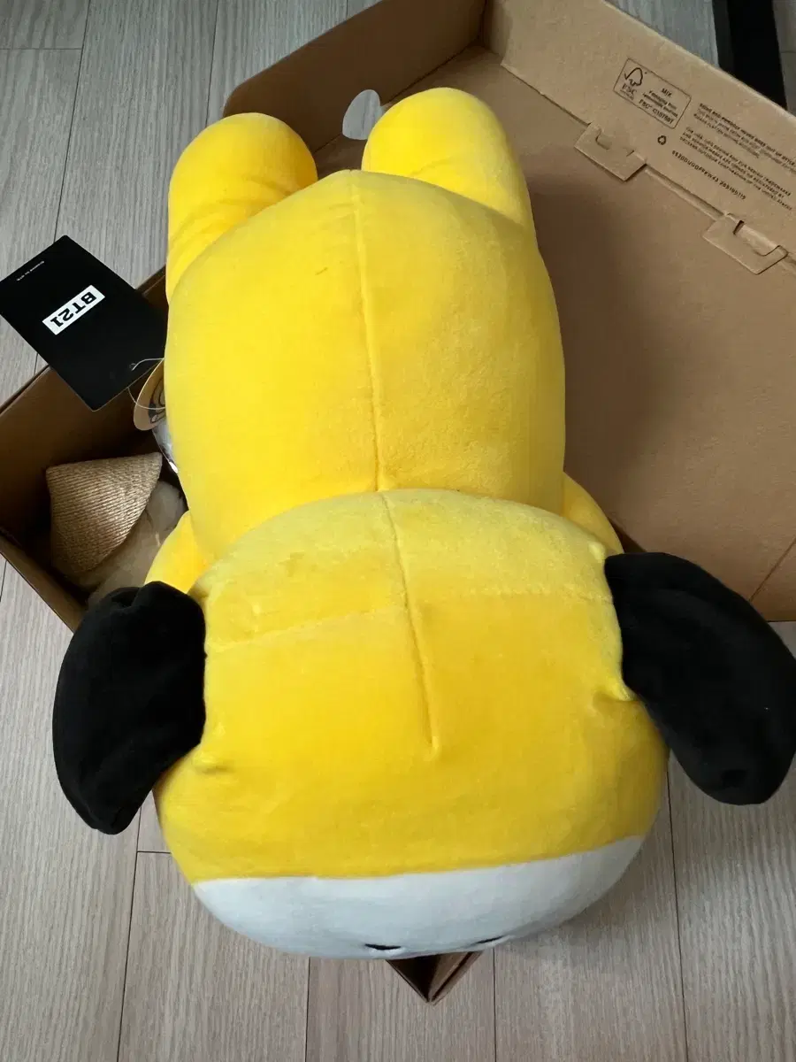 thumbnail-1